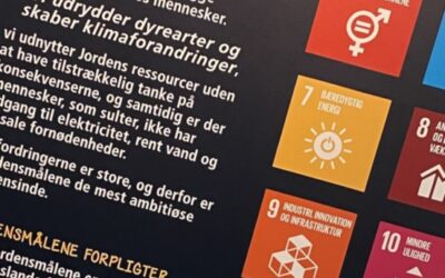 Bæredygtighedens nuancer